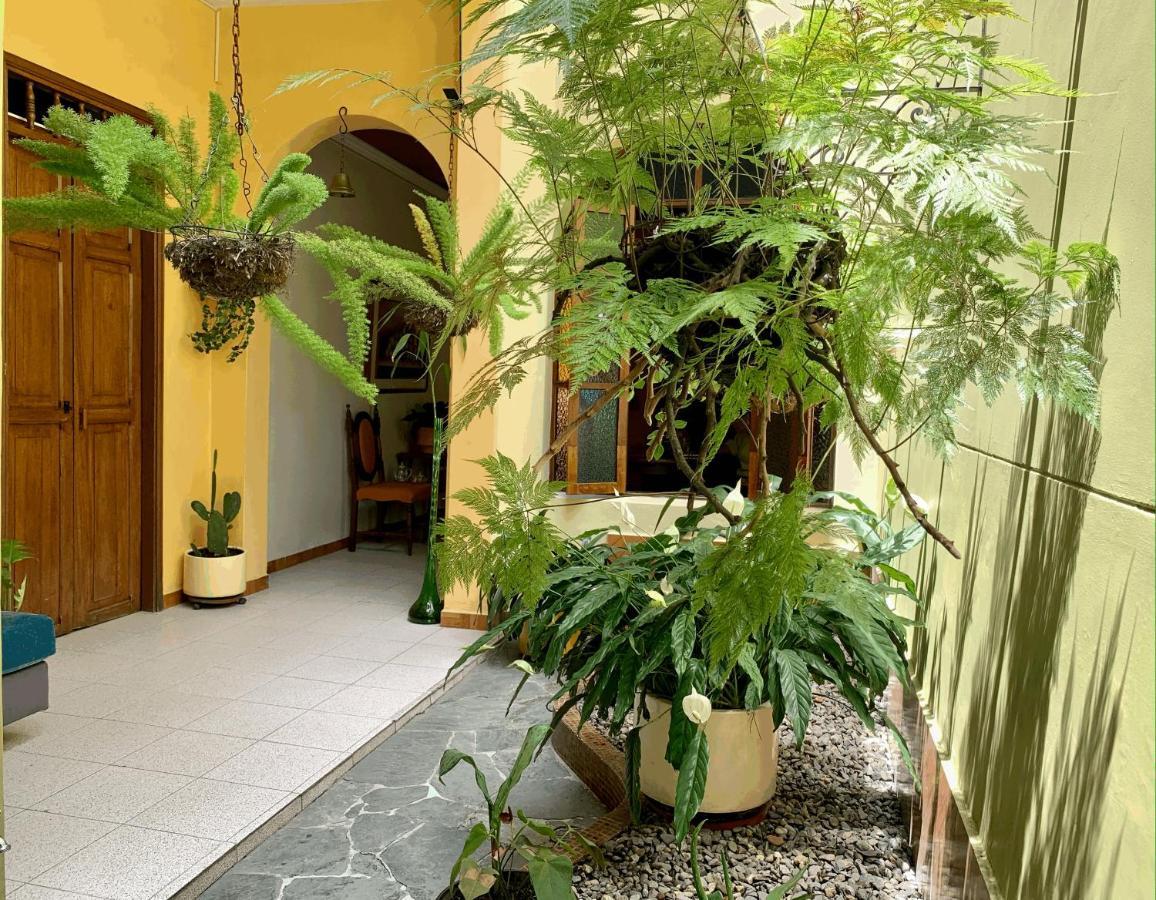 Casa Grande Apartamento Medellín Exterior foto